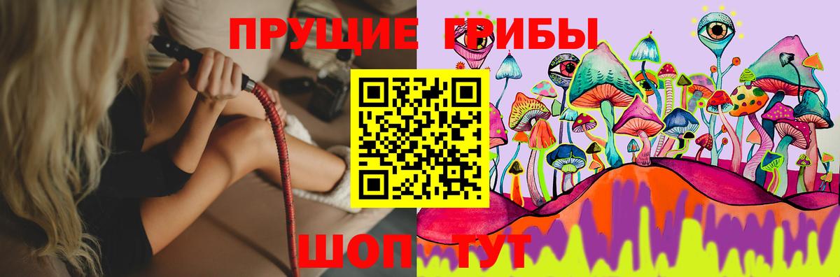 Галлюциногенные грибы Cubensis Мыски